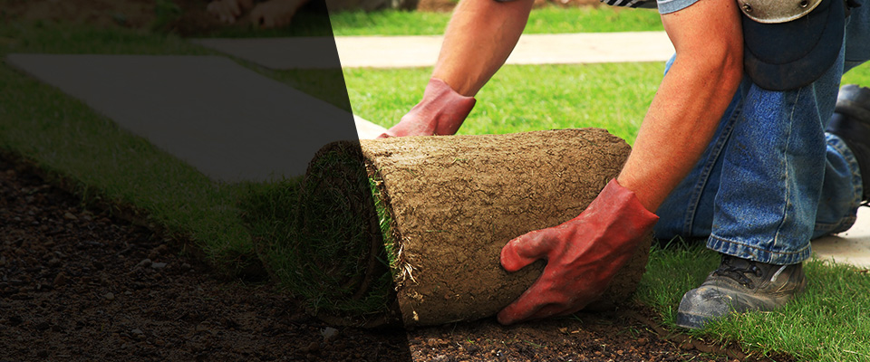 Birnamwood Landscapers